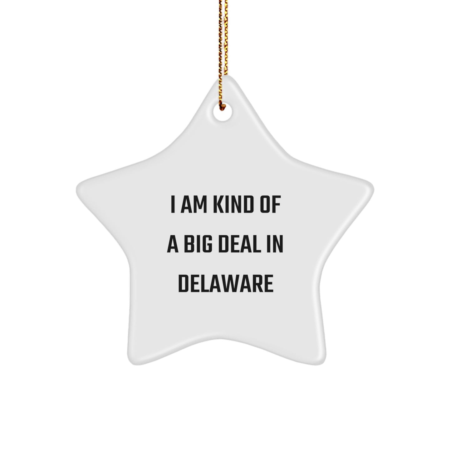 Funny Delaware Christmas Unique Gifts from Friends for Men with I Am Kind Of A Prime Selection In Delaware Star Ornament - Image 1