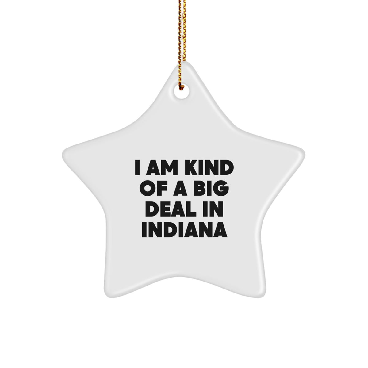Funny Gifts from Friends and Family for Indiana Men - Star Ornament I Am Kind Of A Prime Selection In Indiana - Image 1
