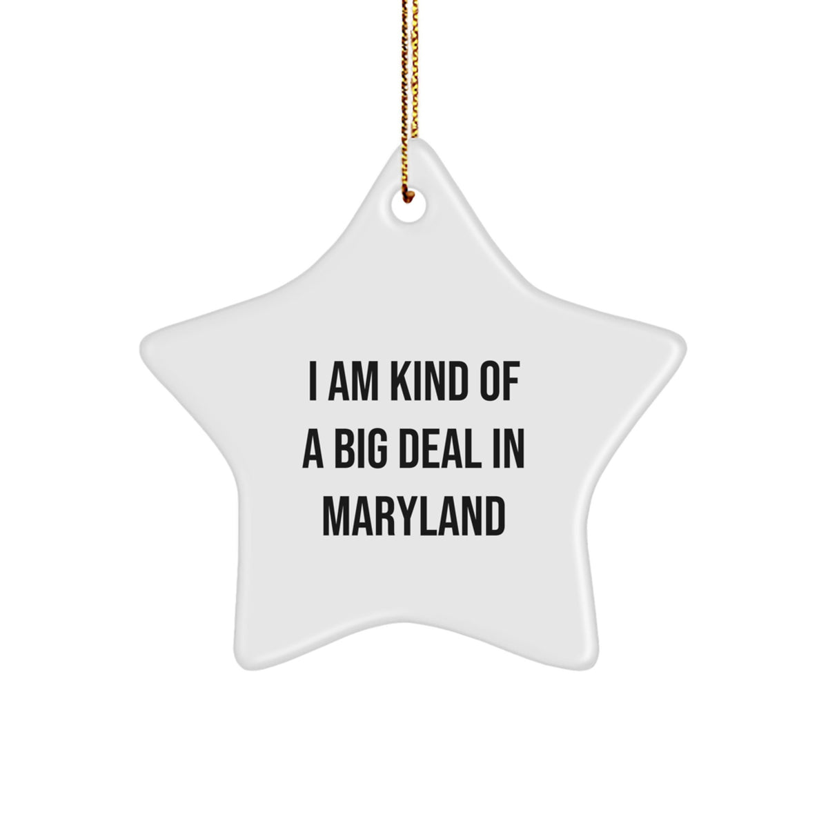 Funny Maryland Star Ornament I Am Kind Of A Prime Selection In Maryland Christmas Unique Gifts for Men from Family - Image 1