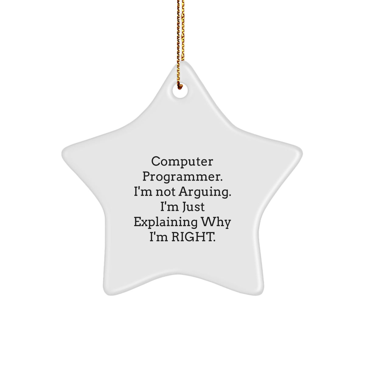 Favorite Computer Programmer Christmas Ornament Gift for Kids - I'm - Image 1