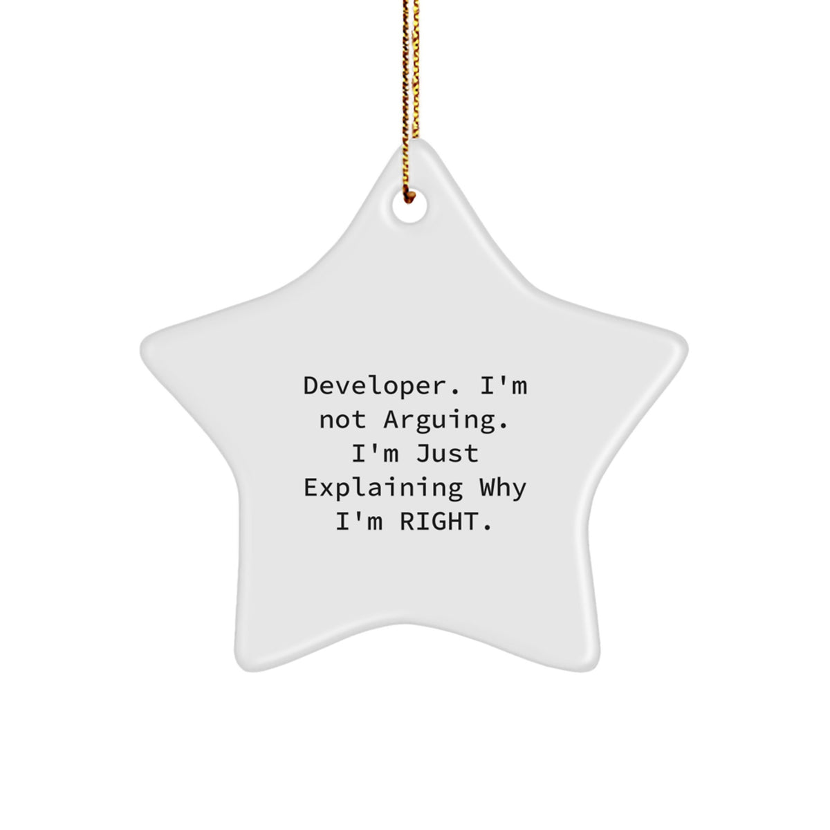 Developer Keepsake Christmas Ornament for Him Gift – Holiday Tree Decor - Image 1