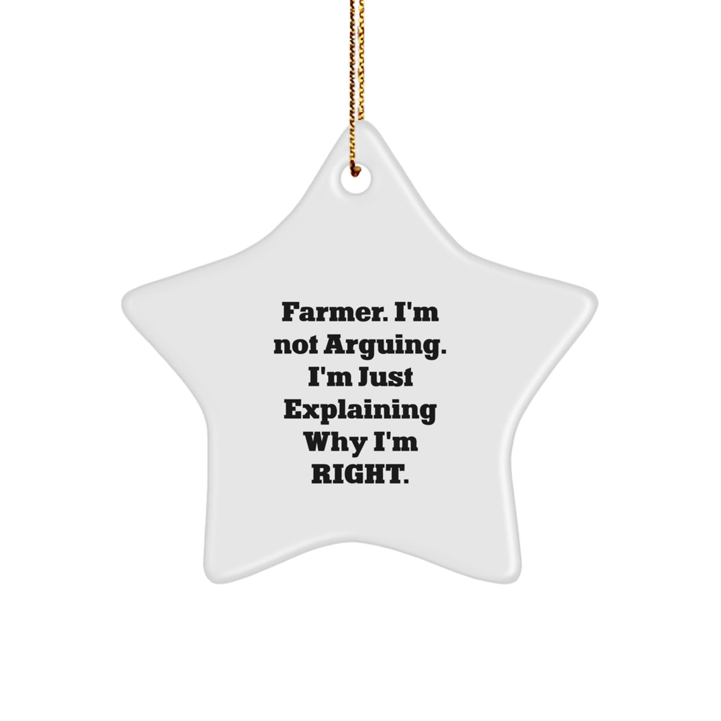 Farmer Humor Gifts from Men to Men, Funny Star Ornament for Christmas, 'I'm Not Arguing... I'm Right' Quote - Image 1