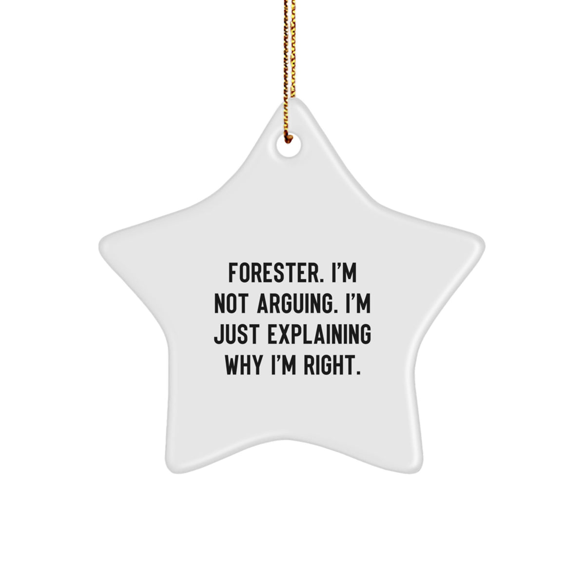 Christmas Gift for Her Forester Star Ornament Present I'm Not Arguing - Image 1