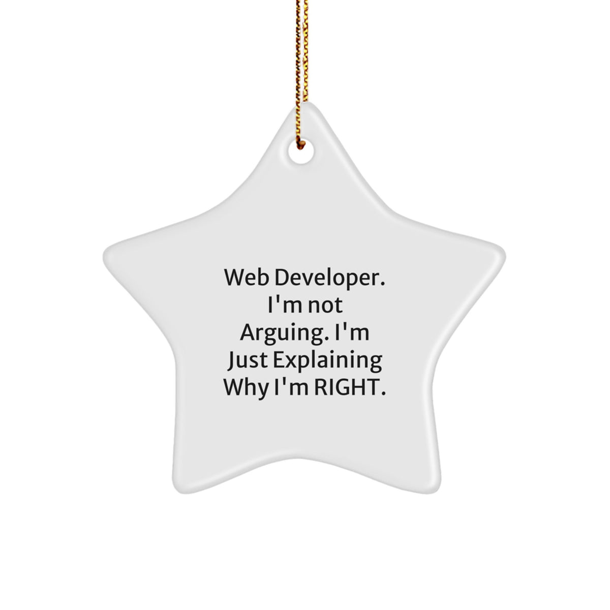 Sarcastic Web Developer Christmas Ornament Gift for Friends - Image 1