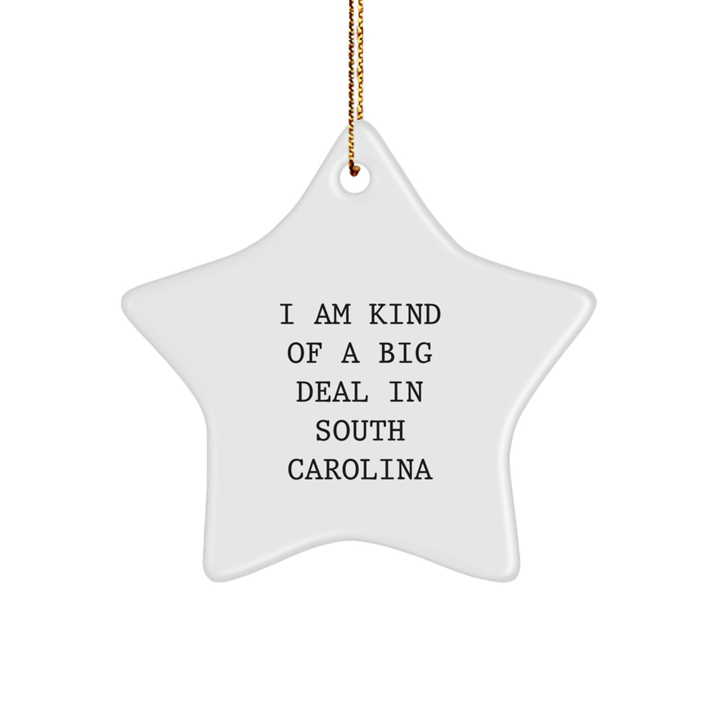 Funny South Carolina Gifts for Men, I Am Kind Of A Prime Selection In South Carolina Star Ornament Christmas Unique Gifts from Friends - Image 1