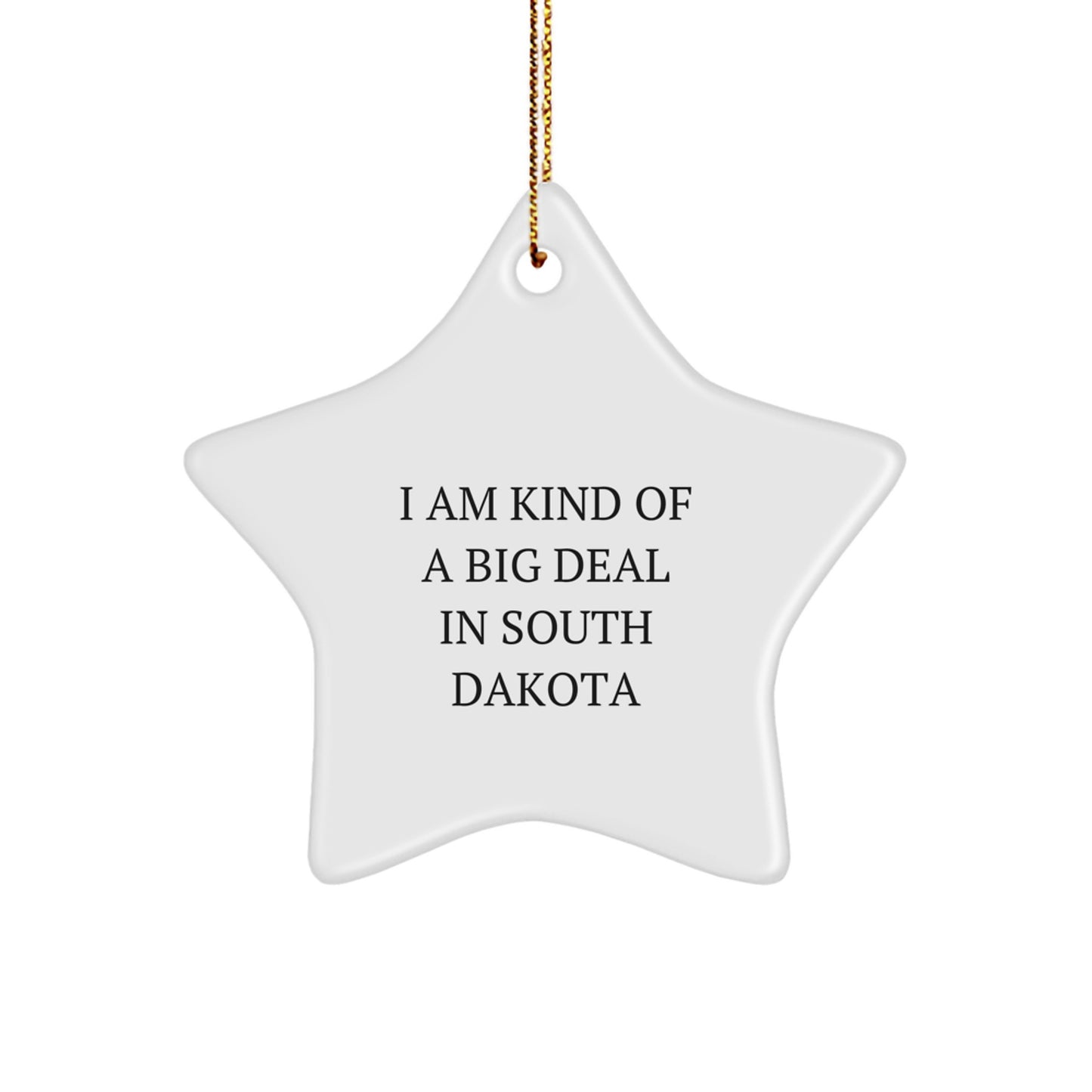Funny Gifts from South Dakota for Christmas Star Ornament I Am Kind Of A Prime Selection In South Dakota for South Dakota Enthusiasts - Image 1