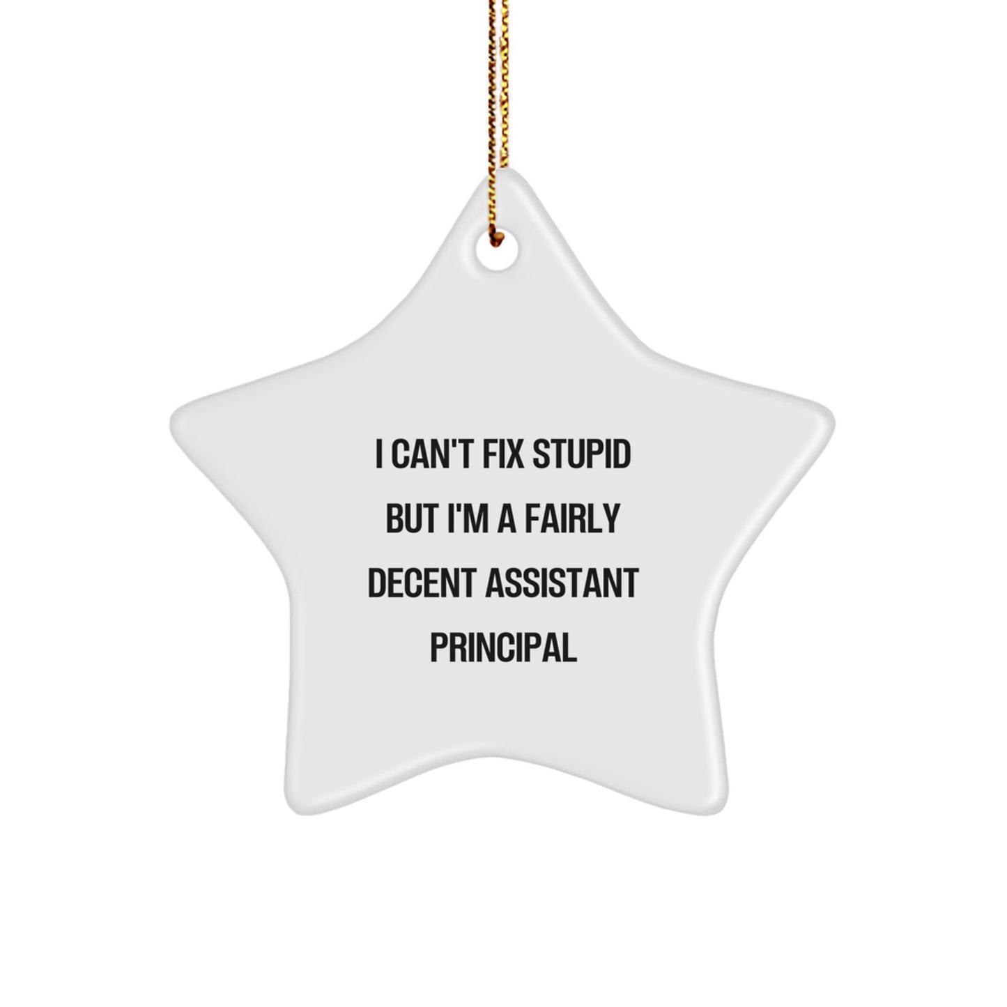 Funny Assistant Principal Gifts - I Can't Fix Stupid But I'm A Fairly Decent Star Ornament for Christmas - Image 1