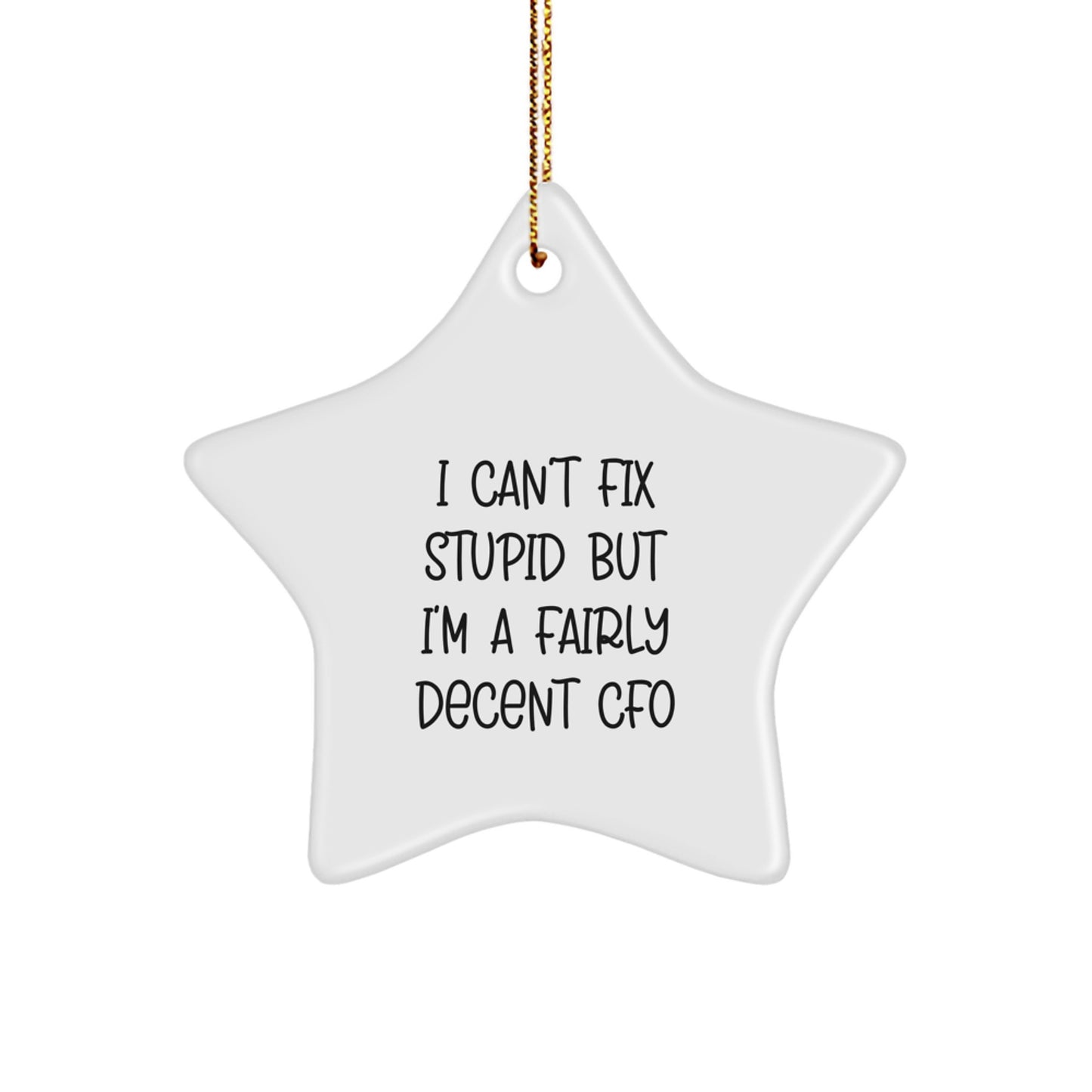 CFO Gifts from Friends - 'I Can't Fix Stupid But I'm A Fairly Decent CFO' Star Ornament for Christmas - Image 1