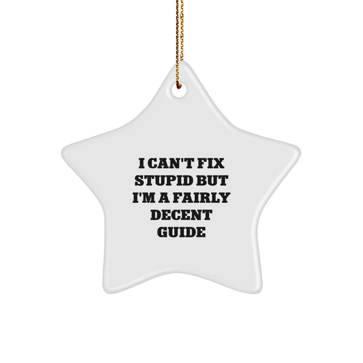 Witty Guide Star Christmas Ornament for Roommates Memento Gift - Image 1