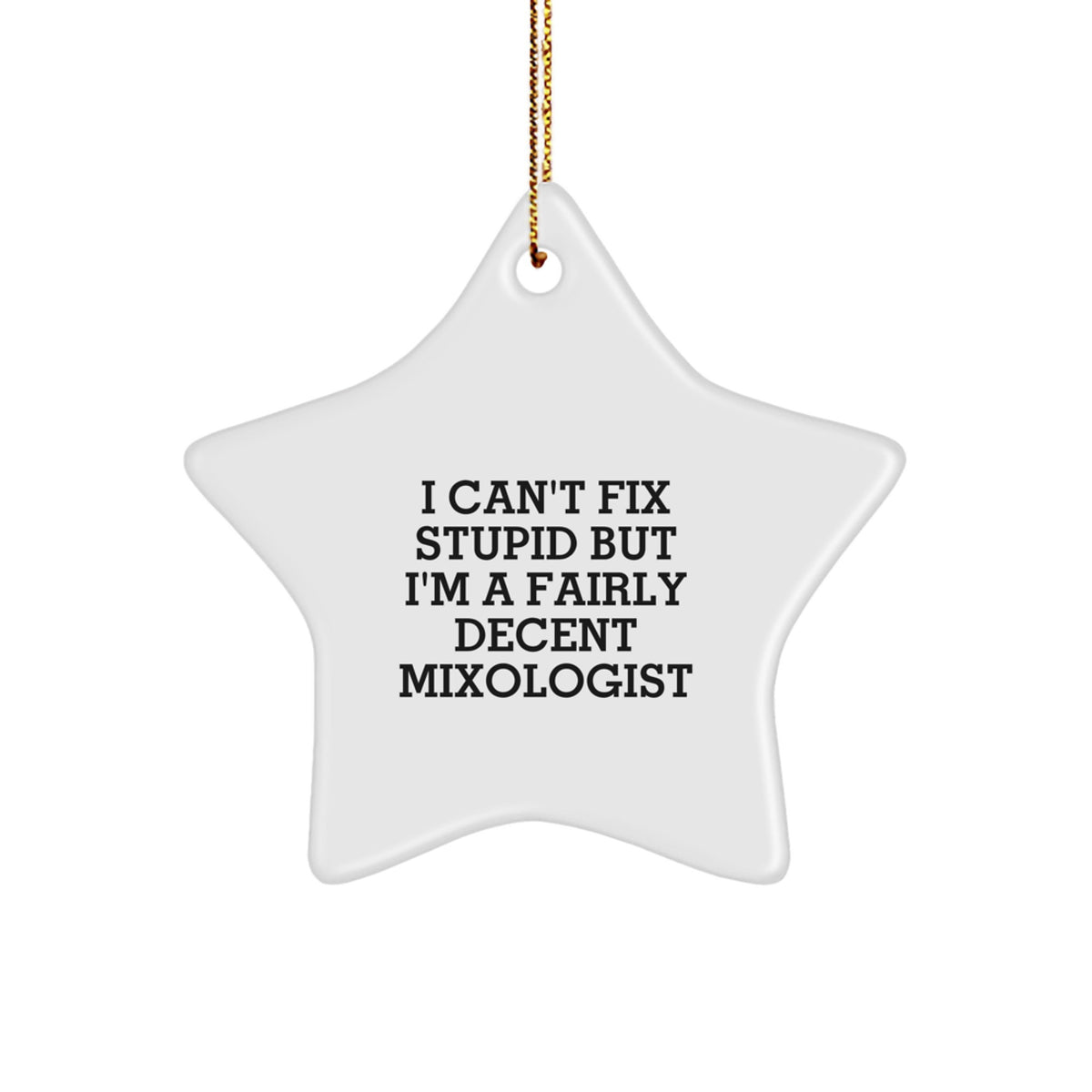 Mixologist Christmas Ornament Gift for Coworkers I Can't Fix Stupid - Image 1