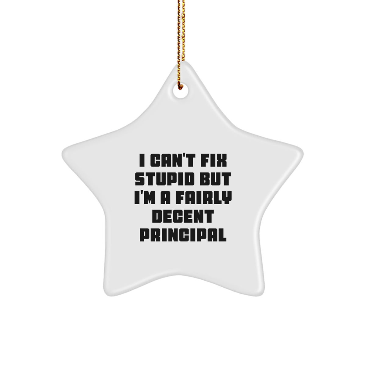 Witty Principal Star Ornament for Friends I Can't Fix Stupid Gift - Image 1