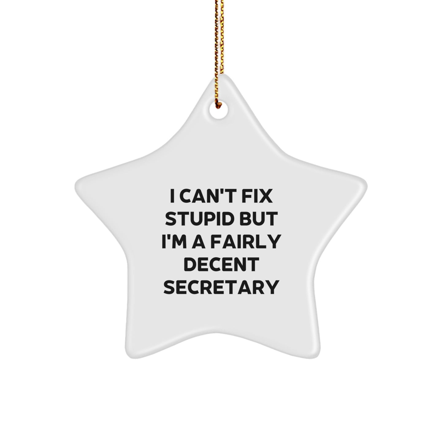 Funny Secretary Gifts, I Can't Fix Stupid But I'm A Fairly Decent Star Ornament for Christmas, Gifts from Friends to Family - Image 1