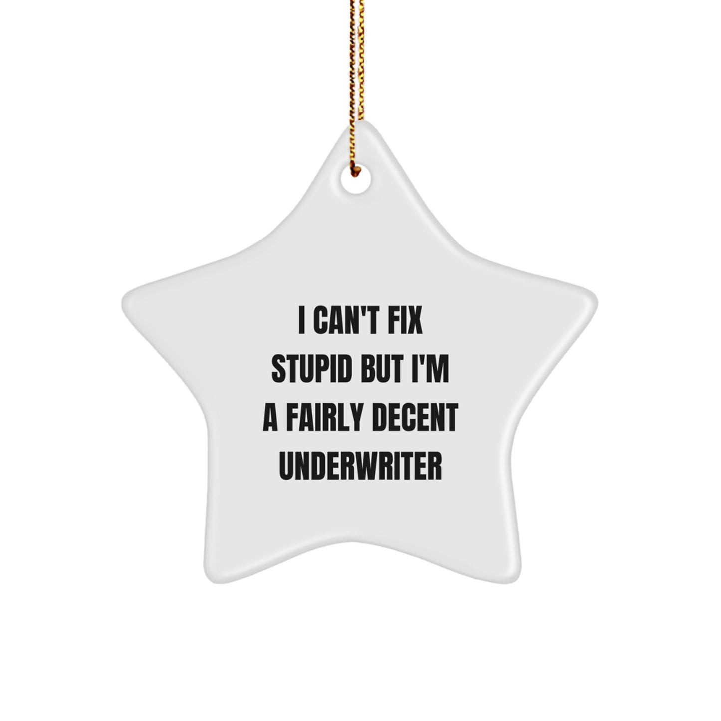 Funny Underwriter Gifts from Friends for Christmas - Star Ornament with 'I Can't Fix Stupid But I'm A Fairly Decent Underwriter' Quote - Image 1