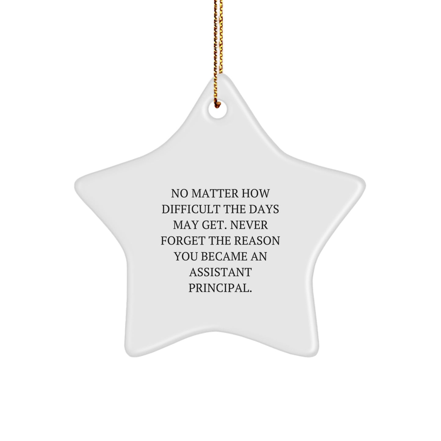 Inspirational Assistant Principal Gifts, Funny Quote Star Ornament, Gifts from Family to Christmas Tree, for Men, Women, Coworkers, Friends, Unique Assistant Principal Christmas Unique Gift Ideas - Image 1