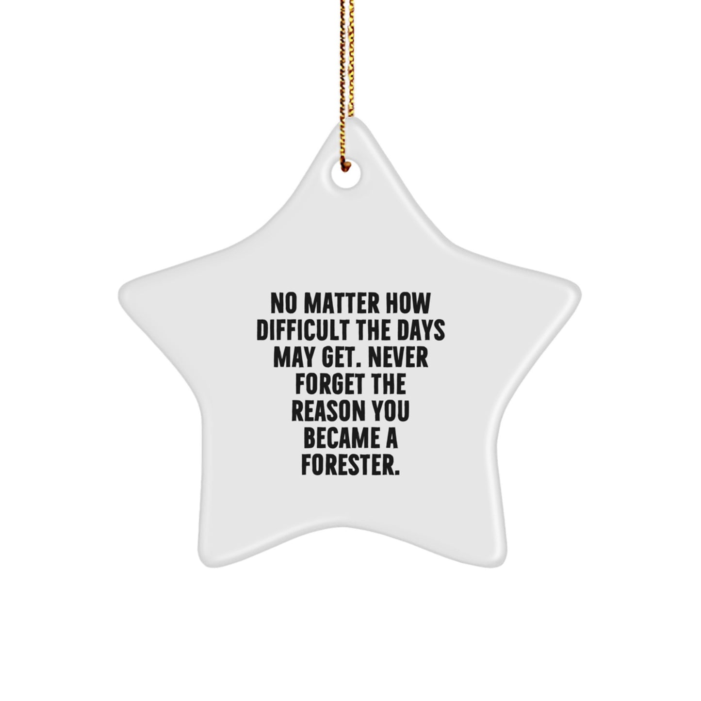 Forester Gifts from Family, Friends, or Coworkers - Star Ornament with Inspirational Quote - Christmas Unique Gifts for Men or Women - Image 1