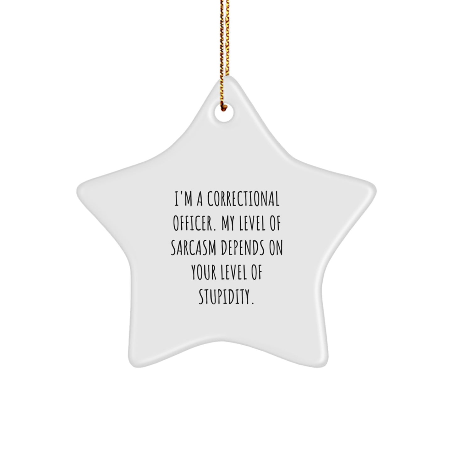 Funny Correctional Officer Gifts, 'I'm A Correctional Officer. My Level Of Sarcasm Depends On Your Level Of Stupidity' Star Ornament for Correctional Officers, Christmas Unique Gifts from Friends - Image 1