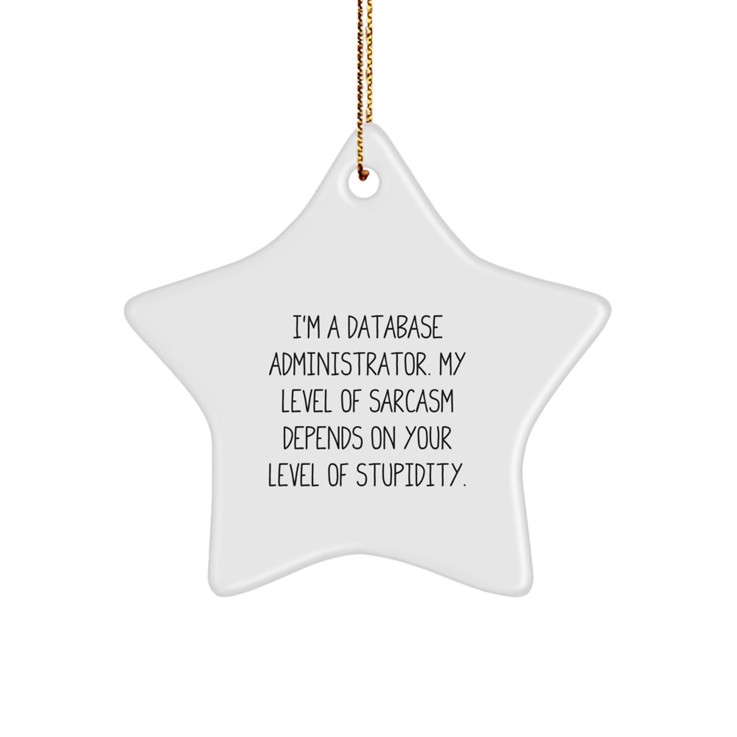 Funny Star Ornament Gifts from Friends for Database Administrators, 'I'm A Database Administrator, My Level Of Sarcasm Depends On Your Level Of Stupidity' - Christmas Unique Gifts - Image 1