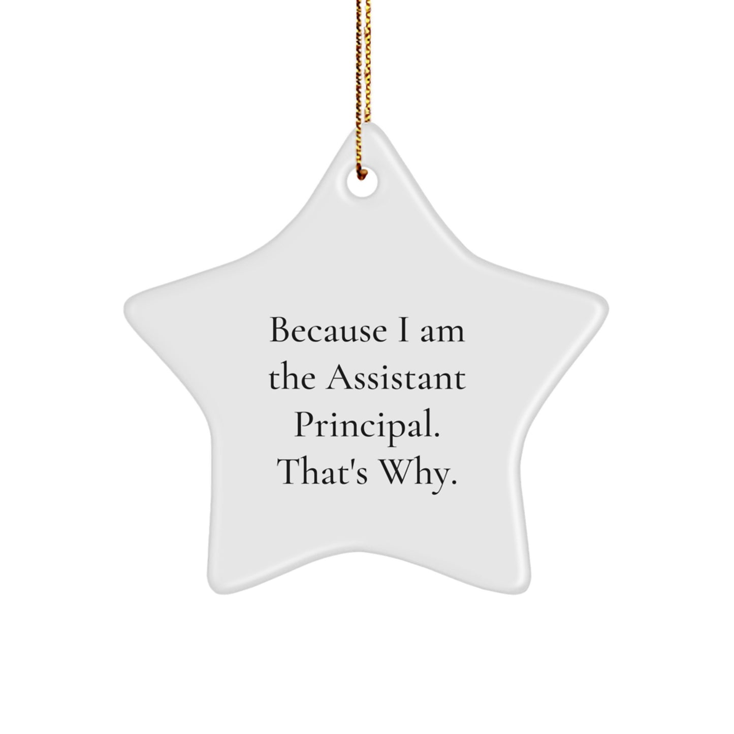 Assistant Principal Funny Star Ornament Gifts from Men to 'Because I Am The Assistant Principal. That's Why.' - Image 1