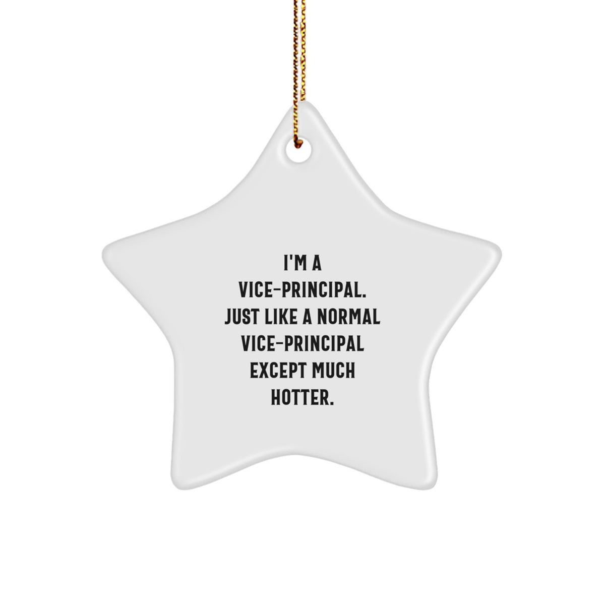 Vice-Principal Keepsake Holiday Christmas Ornament for Him Gift - Image 1