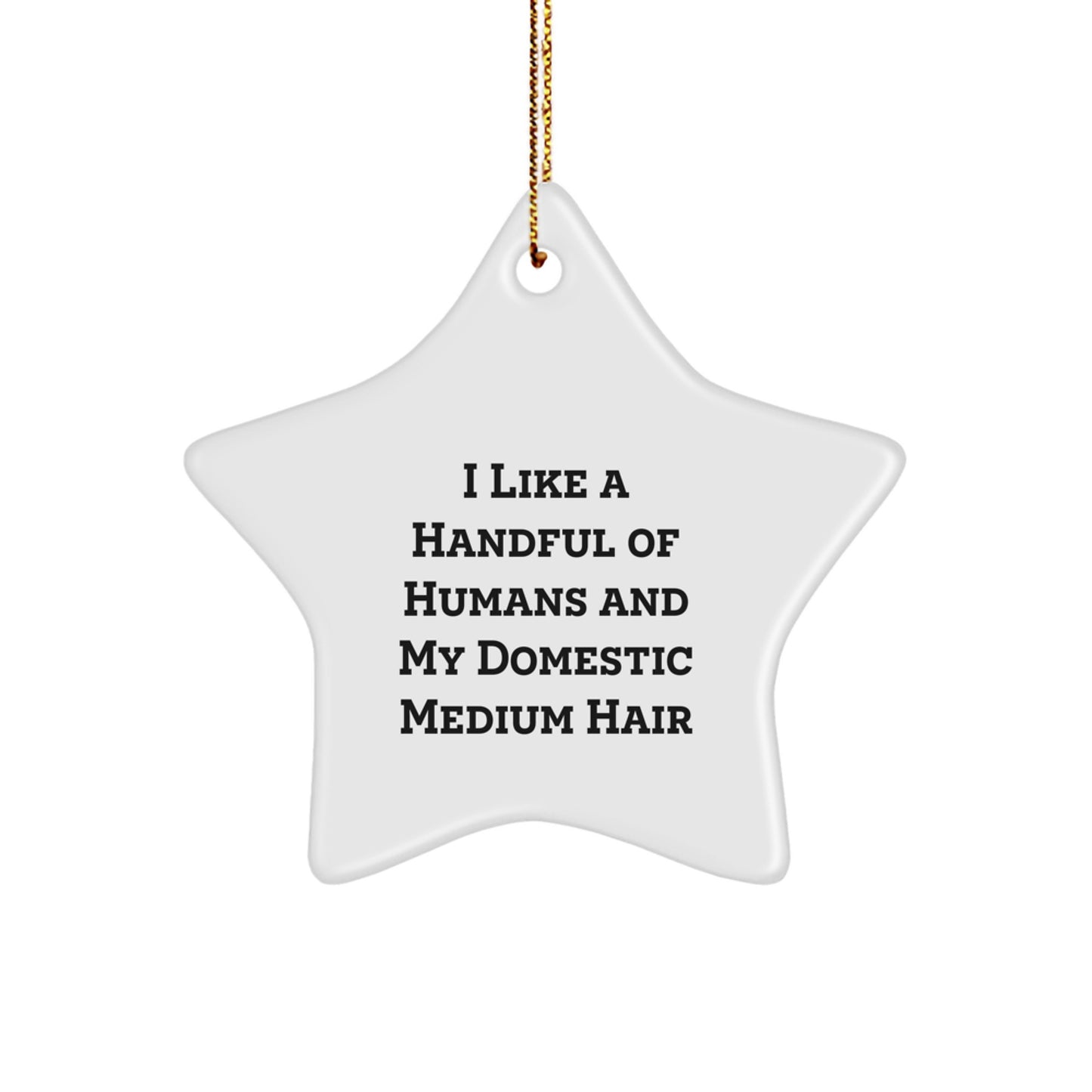 Funny Domestic Medium Hair Cat Christmas Star Ornament Gifts from Friends and Family - Image 1