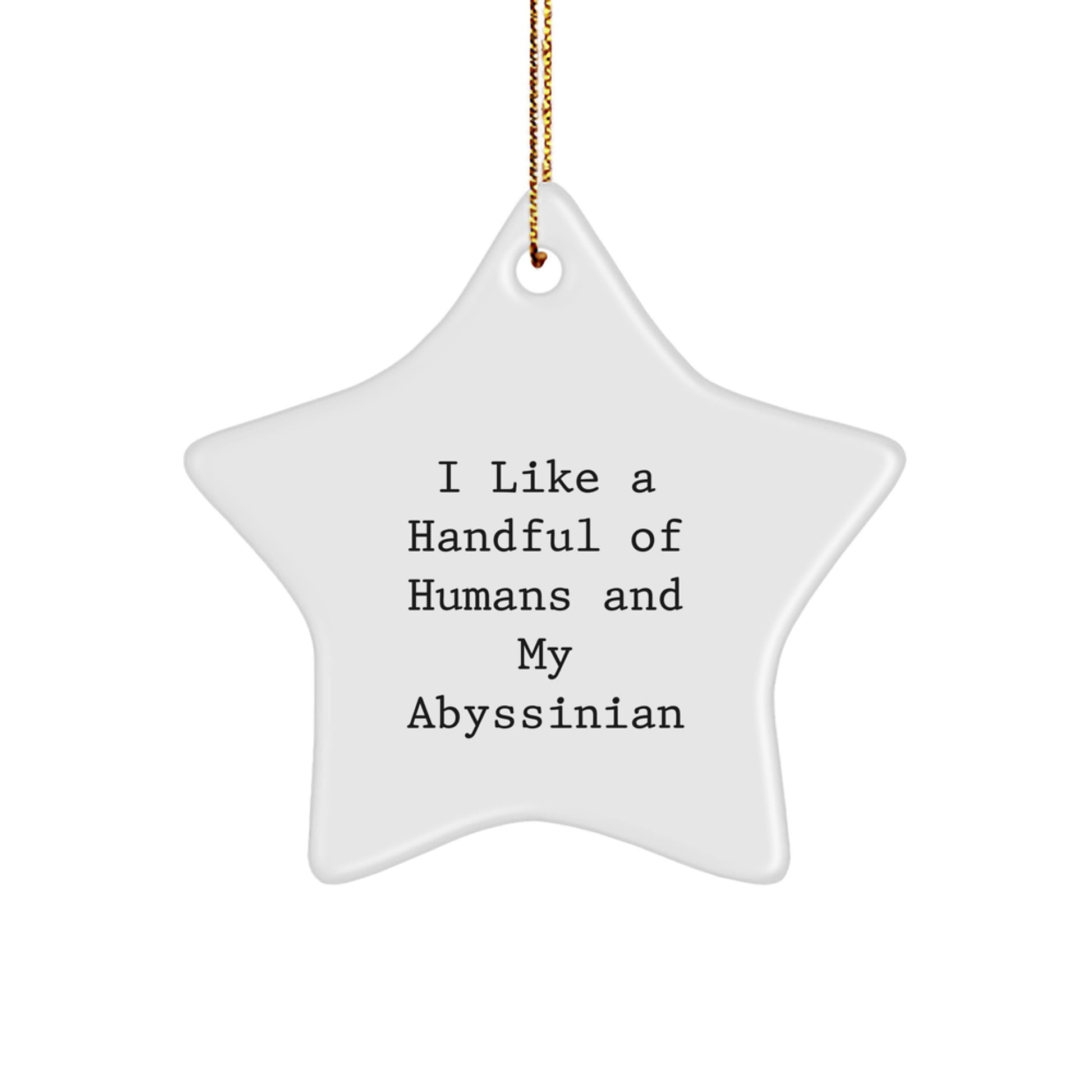 Abyssinian Cat Lover Gifts, Funny Quote Star Ornament - Gifts from Men to Women for Christmas Unique Gifts - Image 1