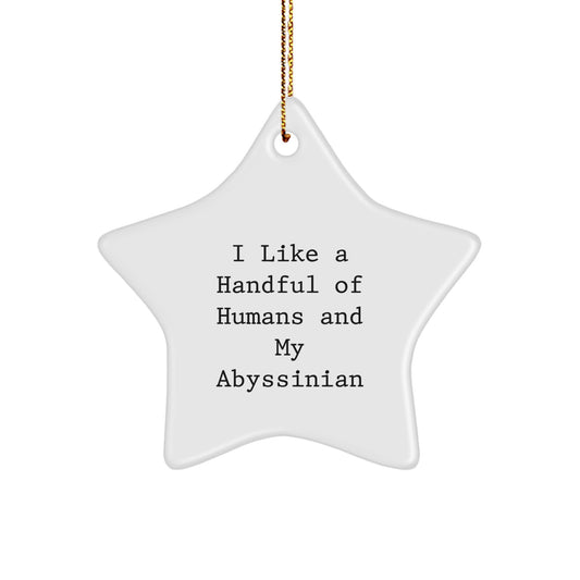 Abyssinian Cat Lover Gifts, Funny Quote Star Ornament - Gifts from Men to Women for Christmas Unique Gifts - Image 1