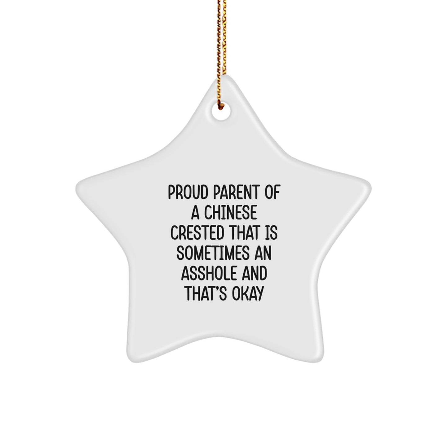 Chinese Crested Dog Star Ornament, Funny Quote Gifts for Men, Women, Friends, Family, Christmas Unique Gifts from Men to Chinese Crested Dog Owners, Chinese Crested Dog Lovers Star Decoration - Image 1