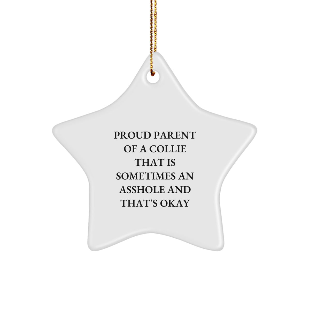 Proud Collie Parent Keepsake Christmas Ornament for Him Gift - Image 1