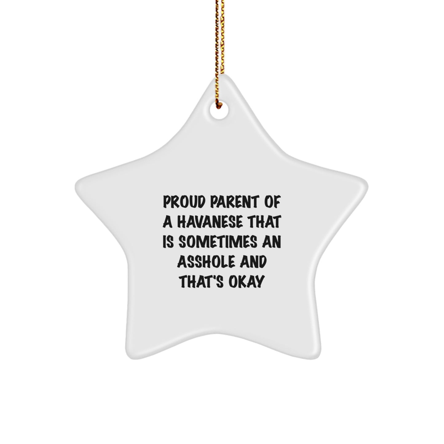 Funny Havanese Dog Lover Gifts from Men to Friends with Star Ornament for Christmas - Image 1