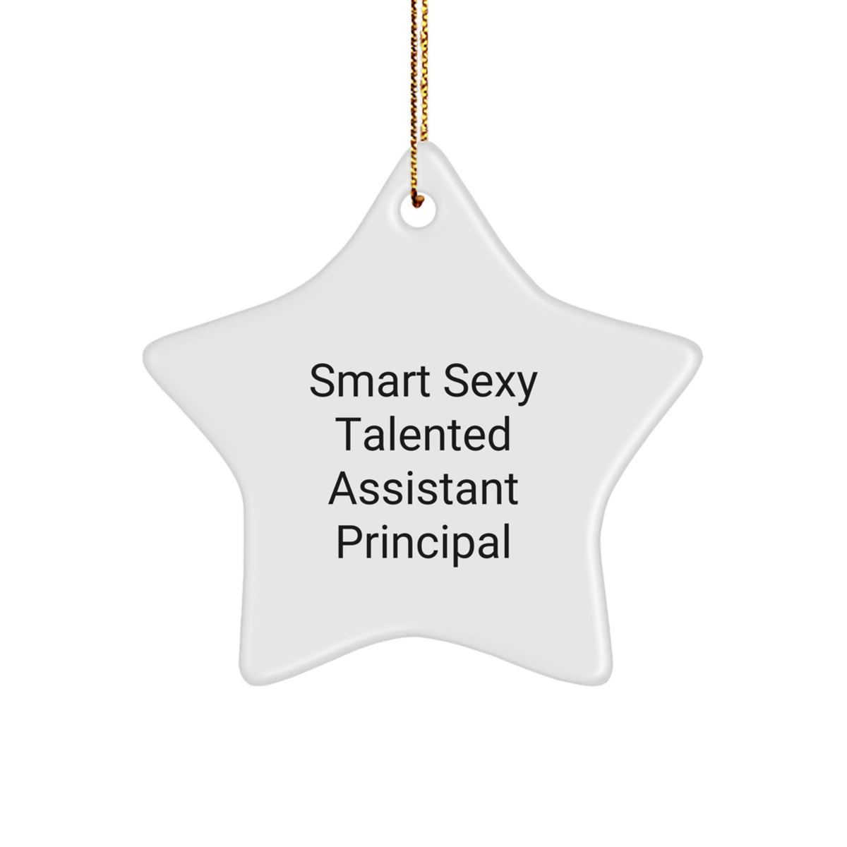 Gifts from Friends for Assistant Principals Star Ornament Funny Quote Smart Sexy Talented Assistant Principal Christmas Unique Gifts - Image 1
