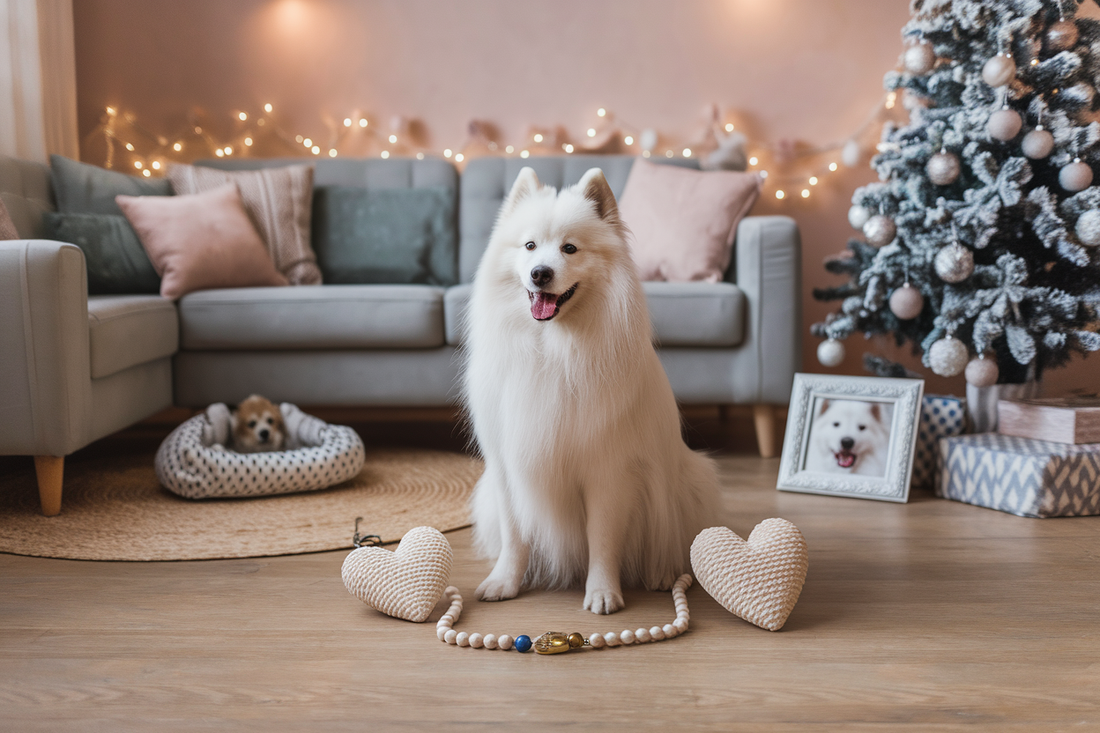 Cover image for 8 Best Samoyed Dog Lover Gifts You'll Love