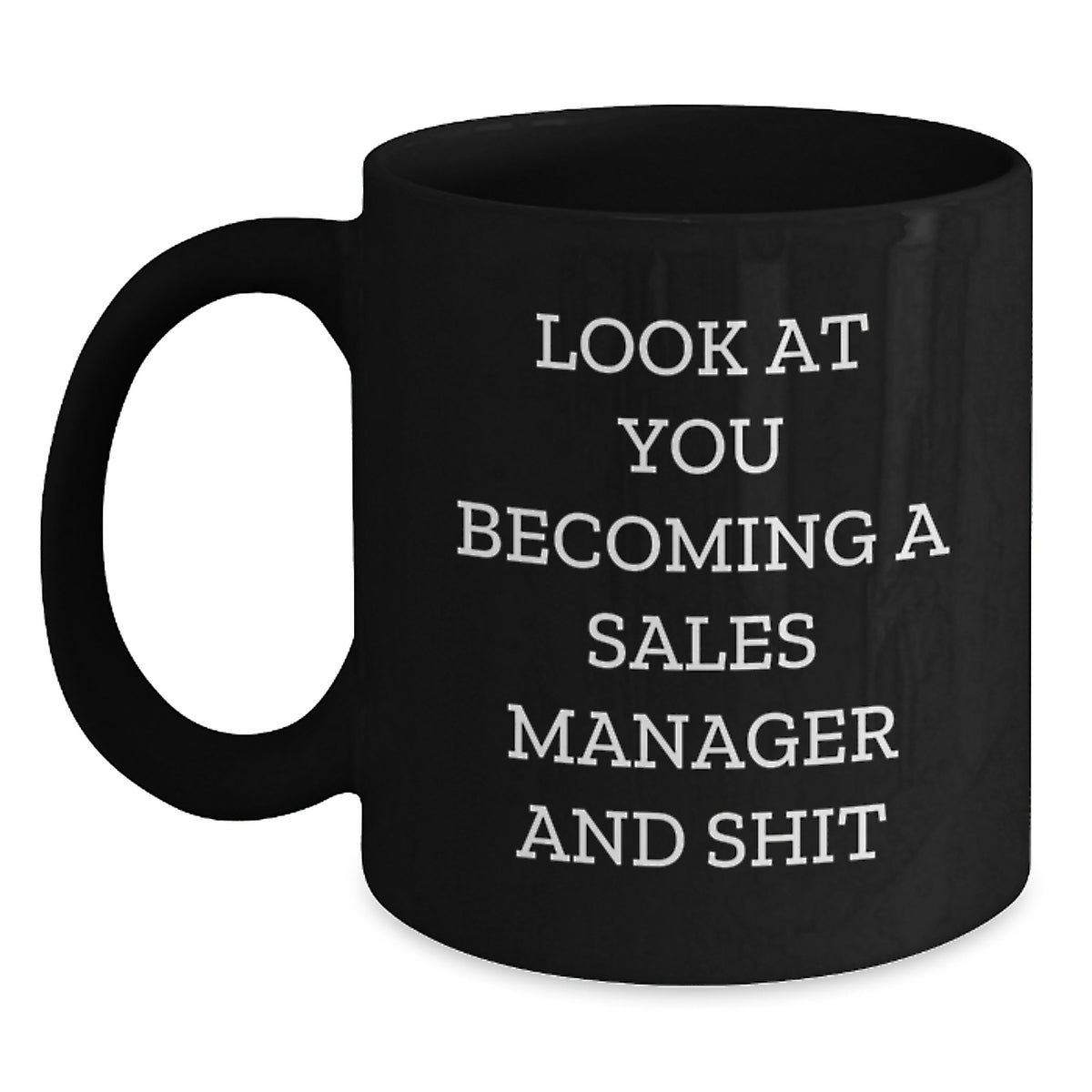 Sales Manager Gift for Him A Humorous Keepsake Mug - Main