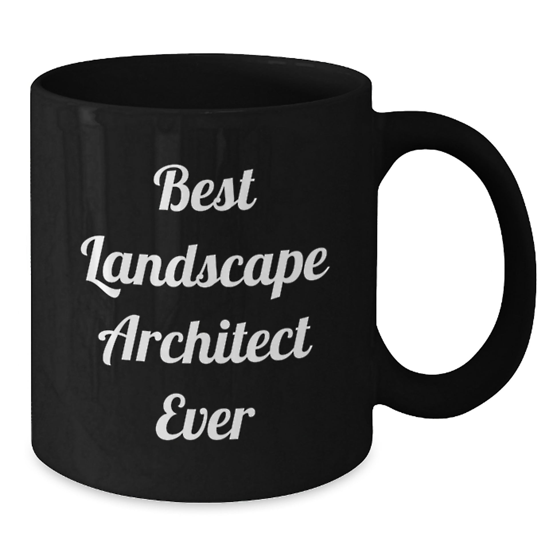 Funny Landscape Architect Gifts from Friends for Birthday - Best Landscape Architect Ever Quote on Black Coffee Mug - Additional