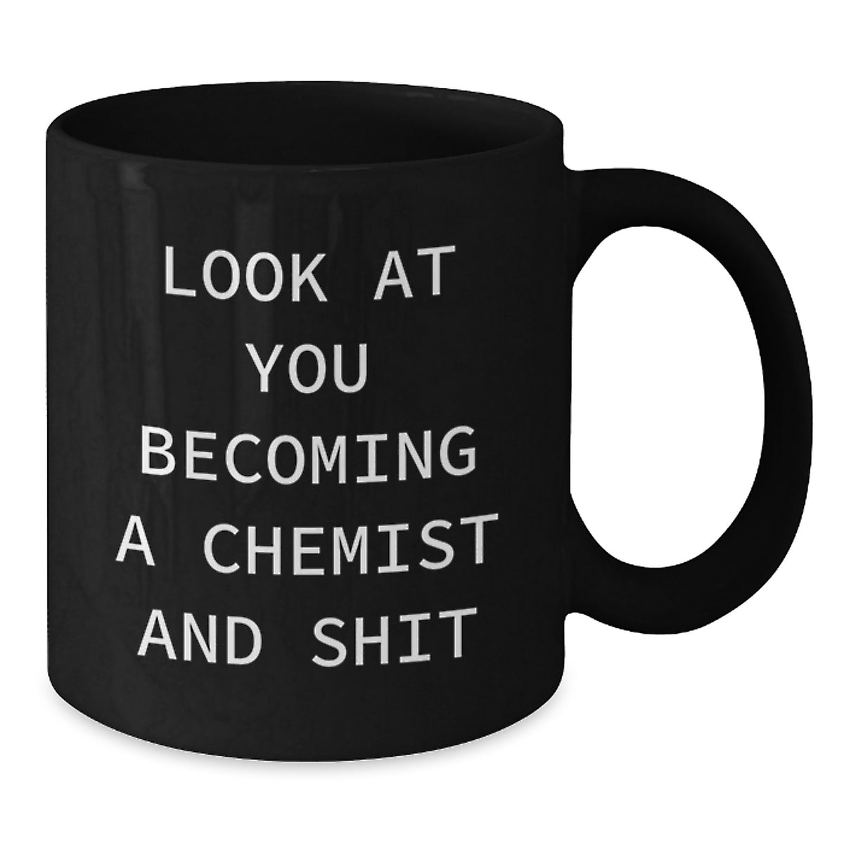 Christmas Gift for Her Chemist Mug Present – Becoming Chemist - Additional