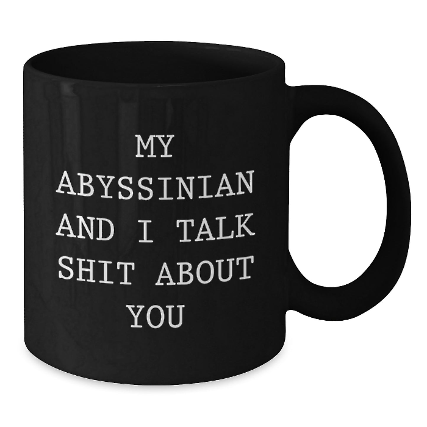 Funny Abyssinian Cat Gifts from Men for Women Friends Birthday Unique Gifts with Black Coffee Mug - My Abyssinian And I Talk Shit About You - Additional
