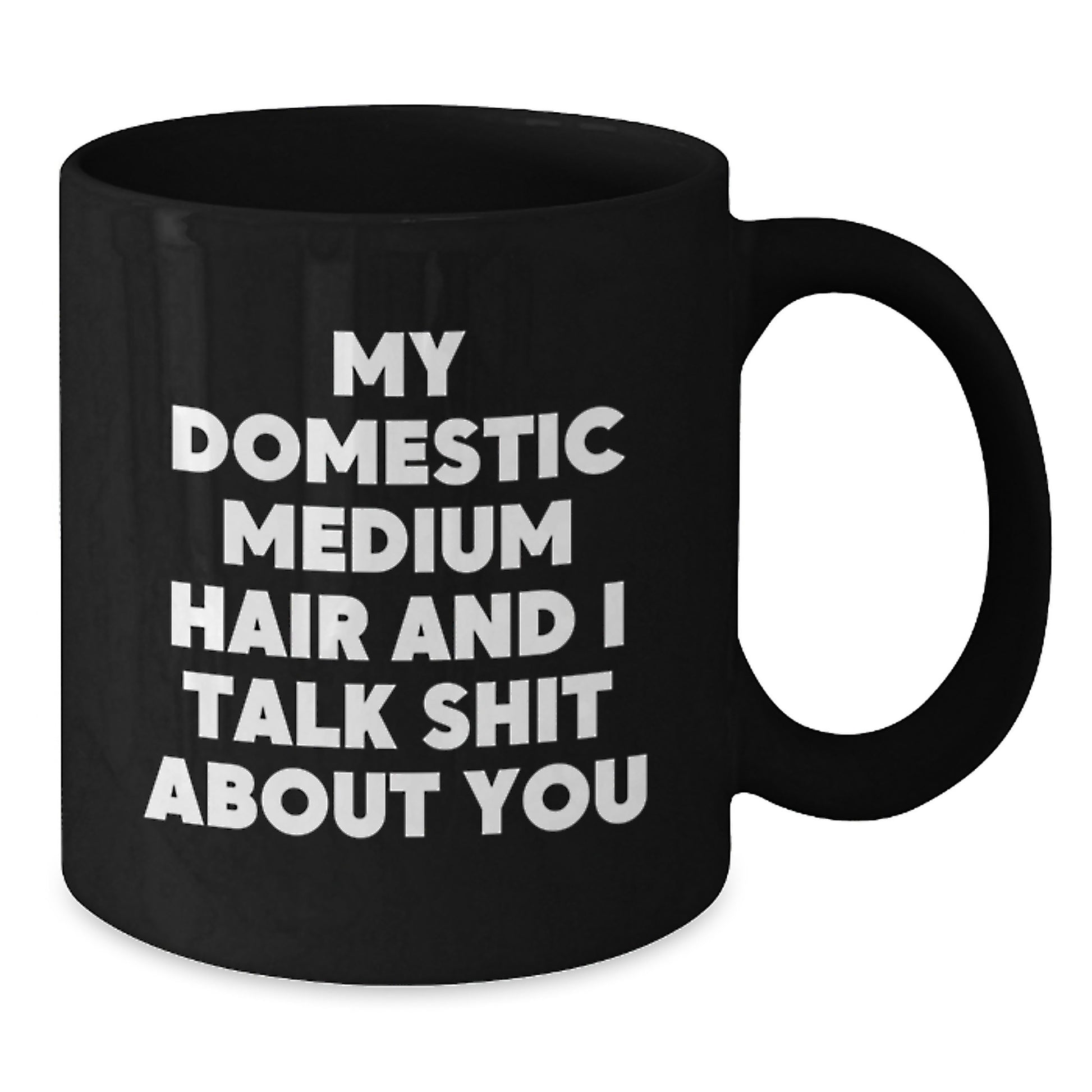 Funny Domestic Medium Hair Gifts for Friends and Family, Black Coffee Mugs for Dad on Father's Day, 'My Domestic Medium Hair And I Talk Shit About You' Quote Mugs - Additional