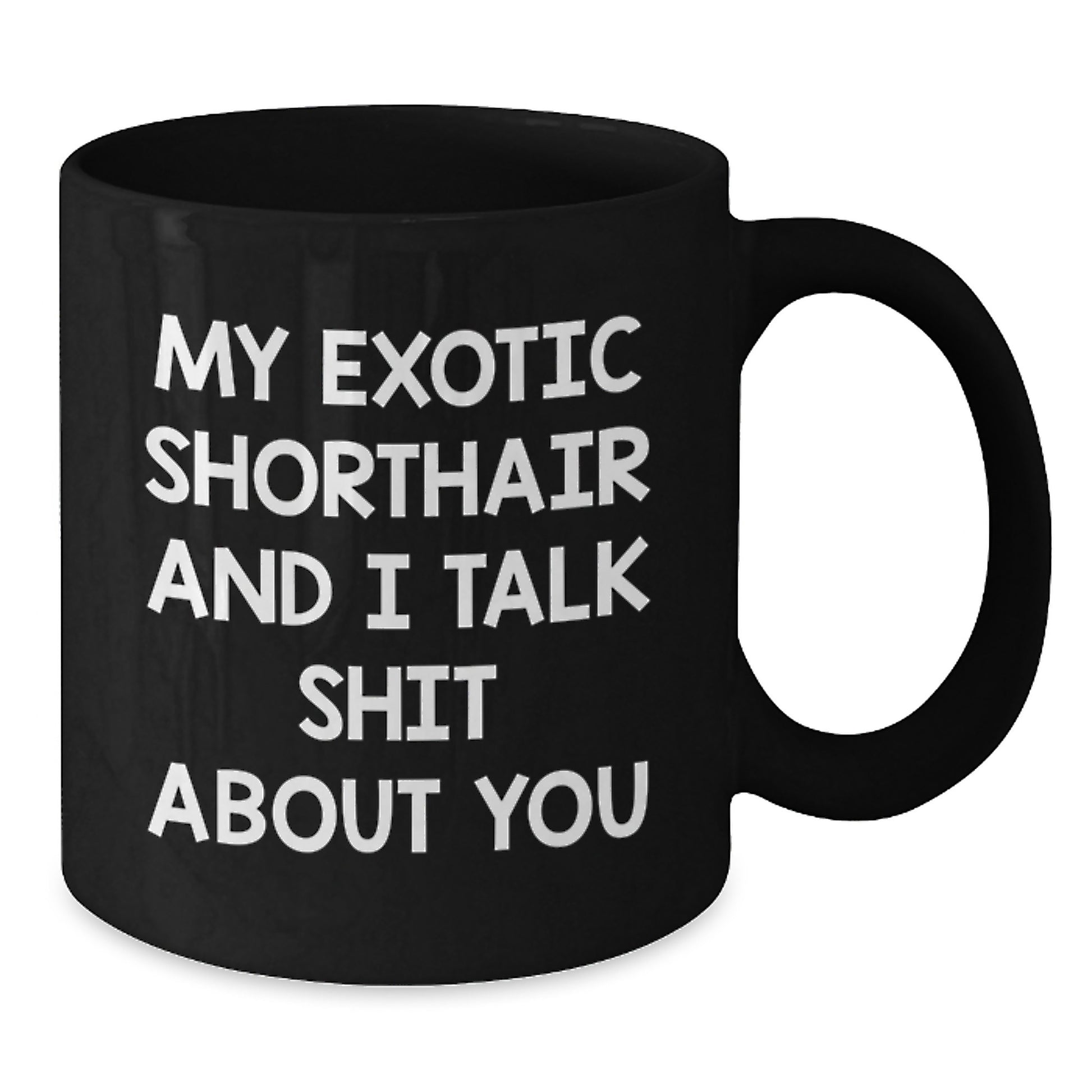 Funny Exotic Shorthair Cat Gifts for Men from Friends - Black Coffee Mug My Exotic Shorthair And I Talk Shit About You - Additional