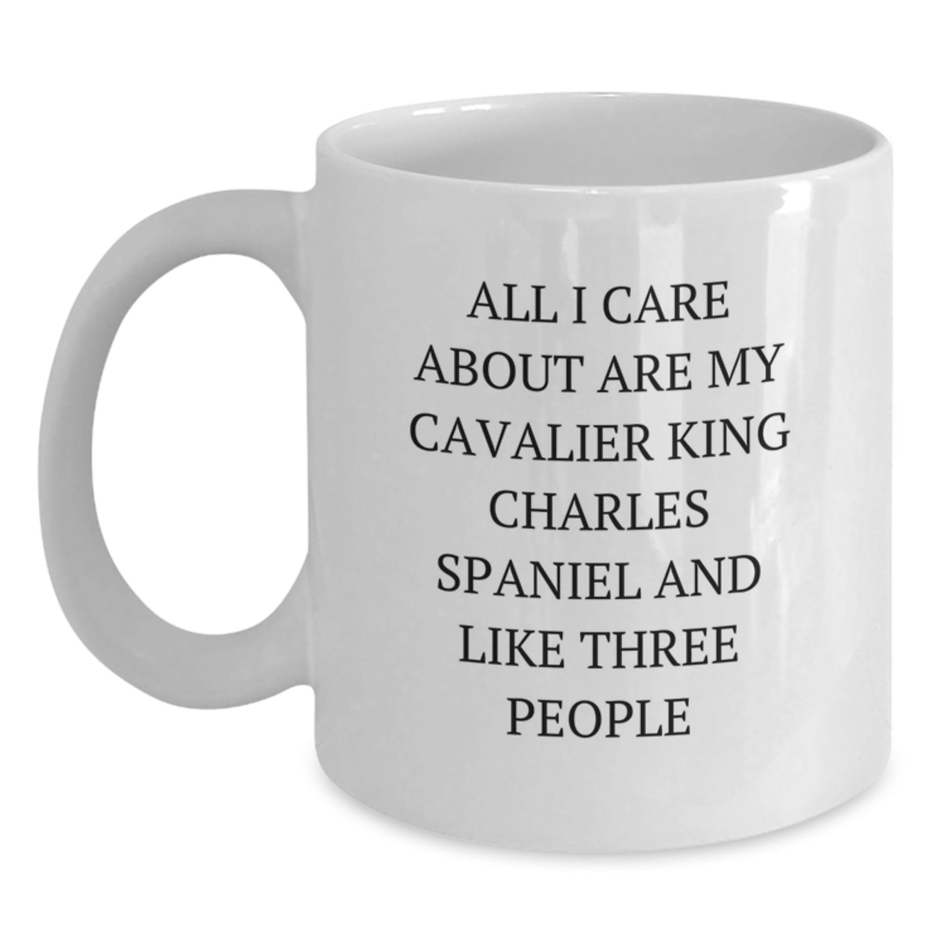 Funny Cavalier King Charles Spaniel Dog Lover Gifts from Friends Valentine's Unique - Main