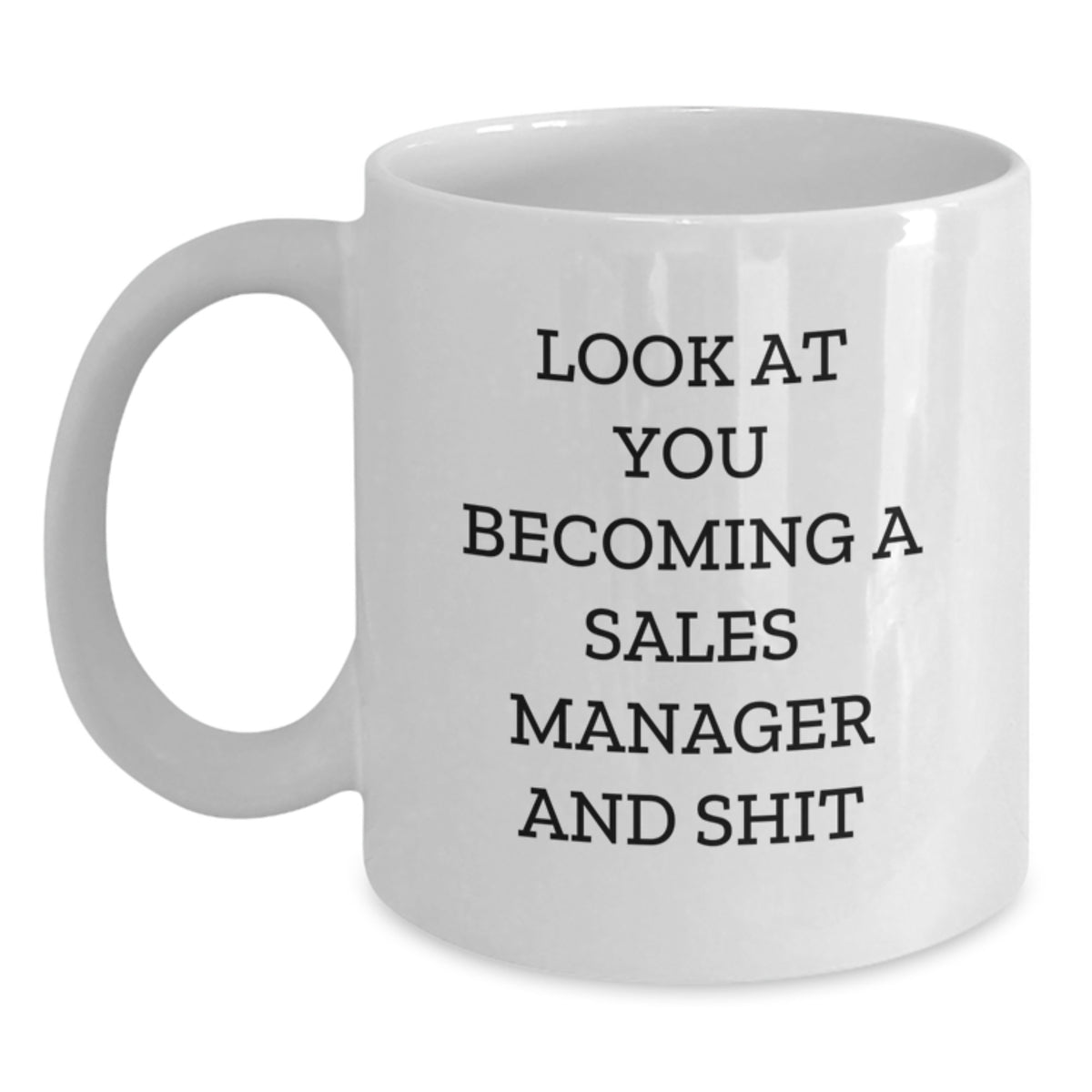 Sales Manager Gift for Him A Humorous Keepsake Mug - Look At You - Main