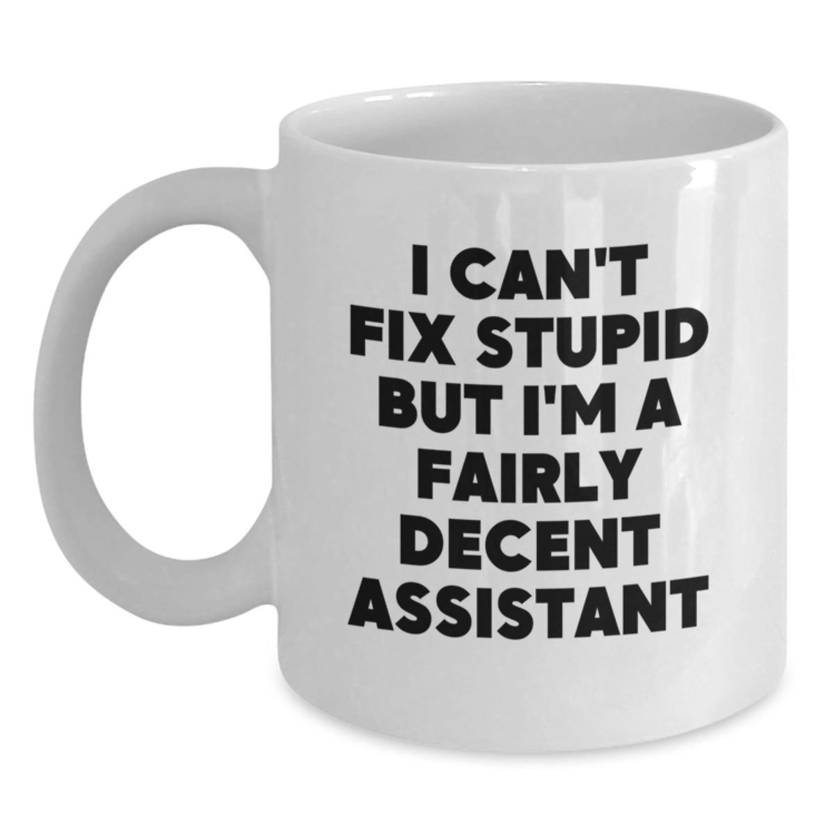 Assistant Gift for Him - I Can't Fix Stupid But I'm A Fairly Decent - Main