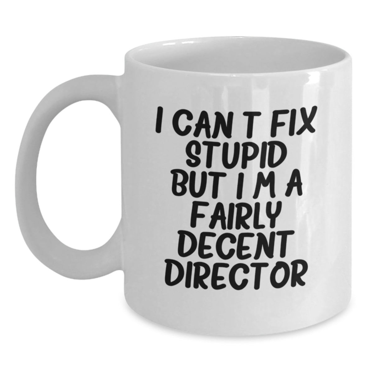Director Gift for Him - I Can't Fix Stupid, Fairly Decent Director - Main