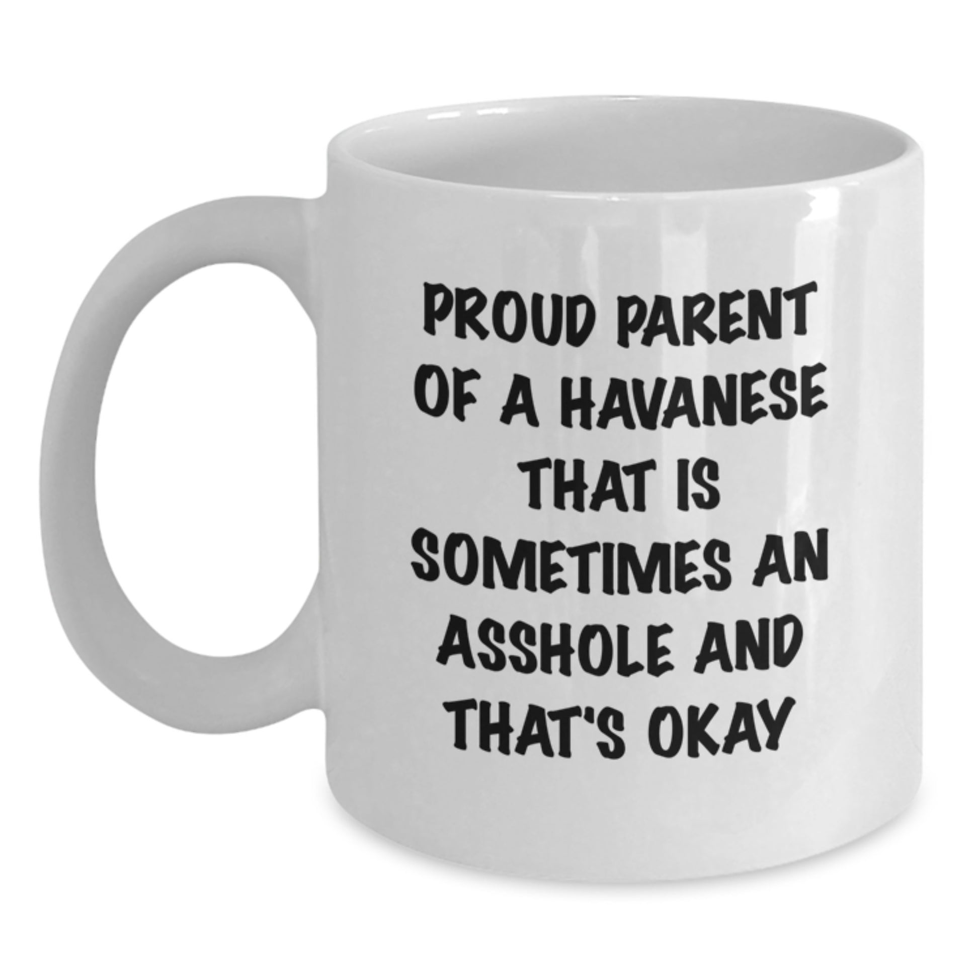 Funny Havanese Dog Gifts for Men from Proud Parents White Coffee Mug - Graduation Unique - Main