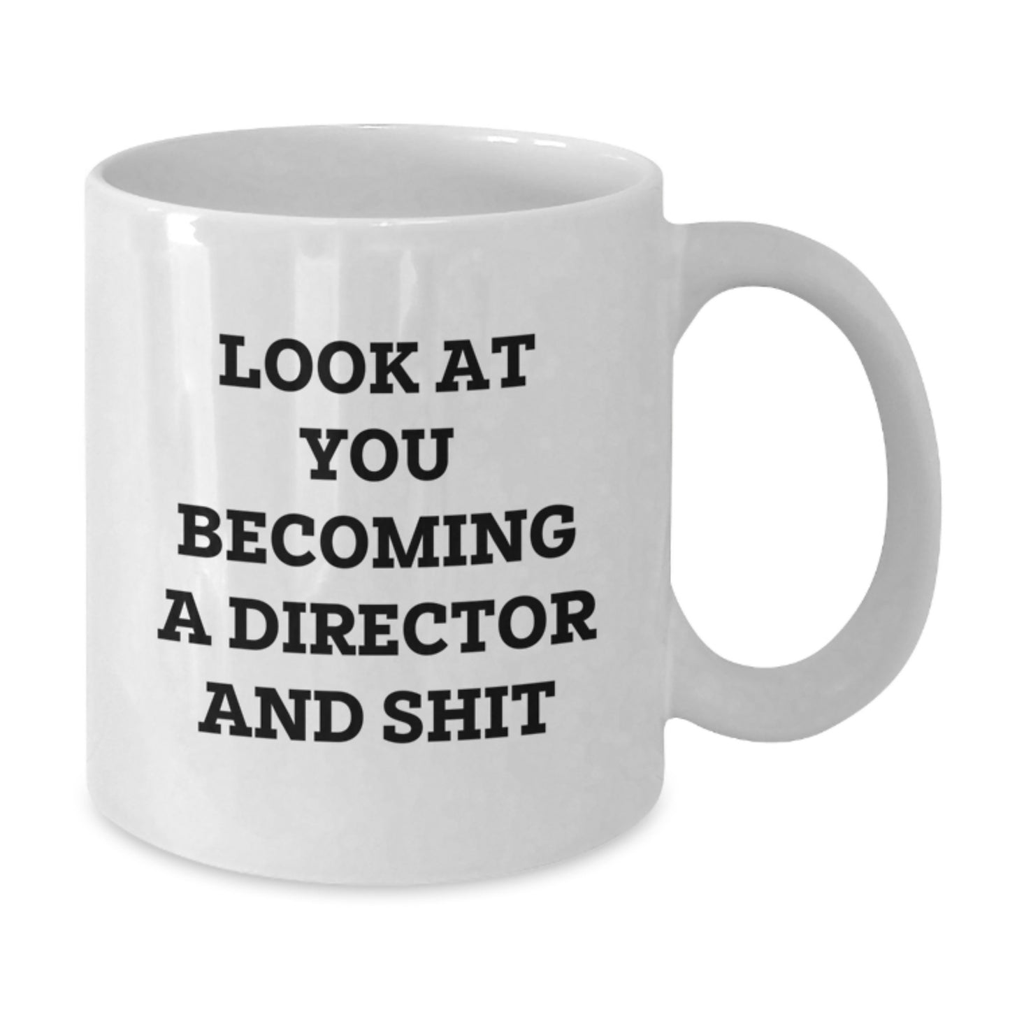 Funny Director White Coffee Mug, Gifts for Graduation Unique Director Friends, Gifts from Men to Women - Additional