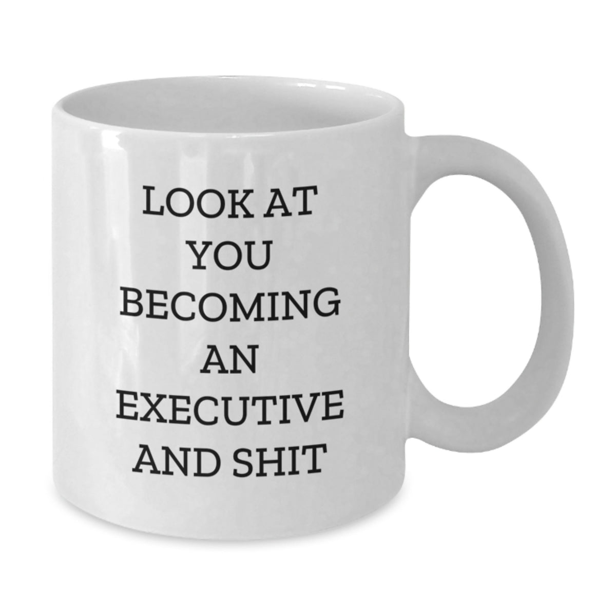 Christmas Gift For Her Humorous 'Look At You Becoming An Executive And - Additional