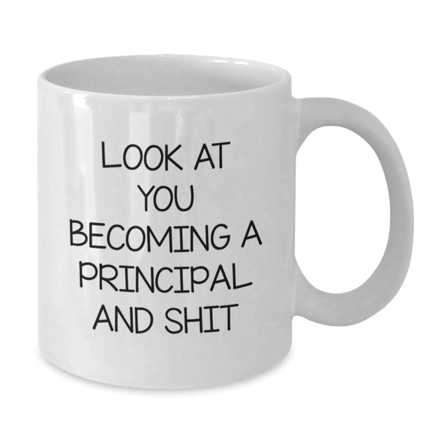 Funny Principal Gifts for Him, Mother's Day Unique Gifts from Family to Principal, White Coffee Mug with Look At You Becoming A Principal And Shit Quote - Additional