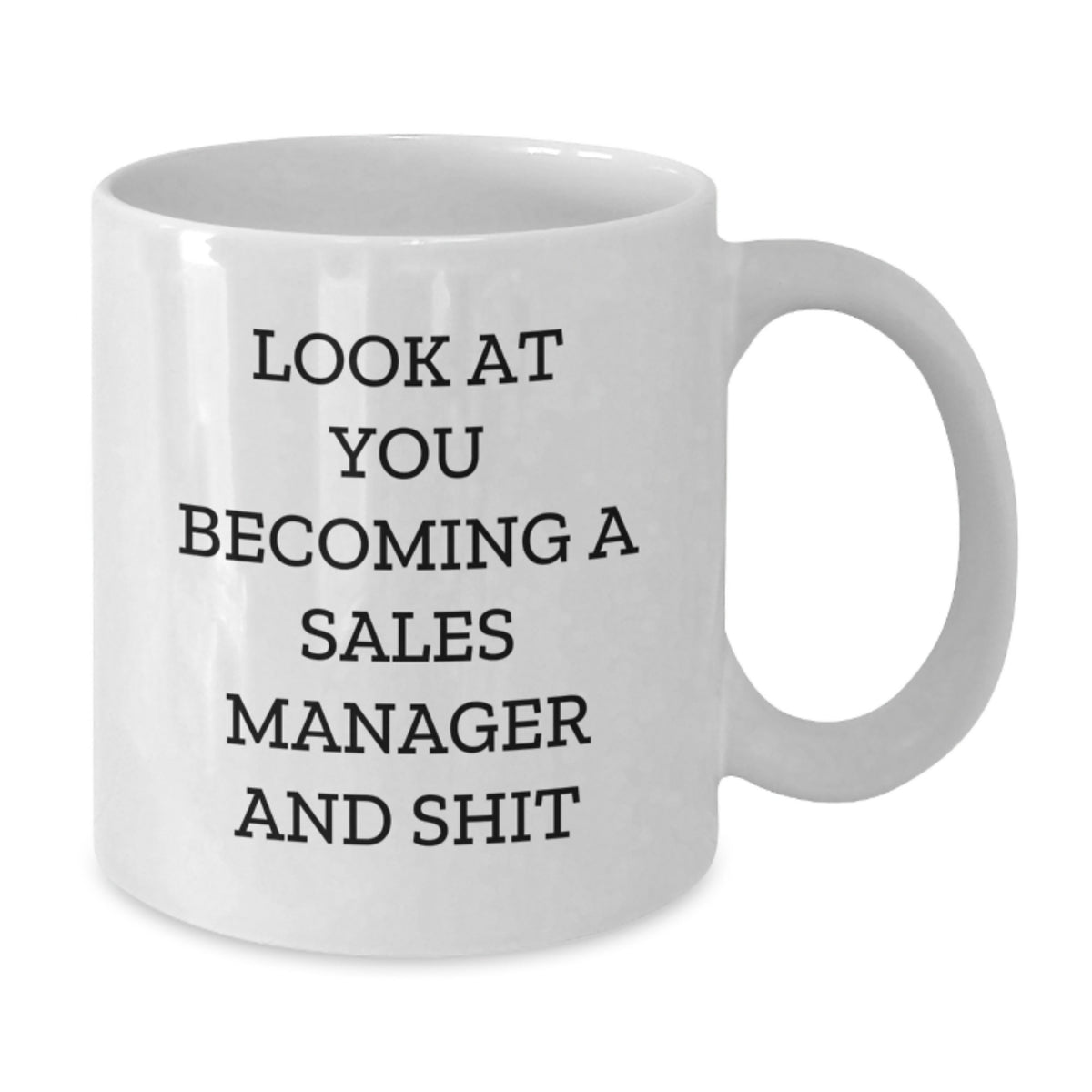 Sales Manager Gift for Him A Humorous Keepsake Mug - Look At You - Additional