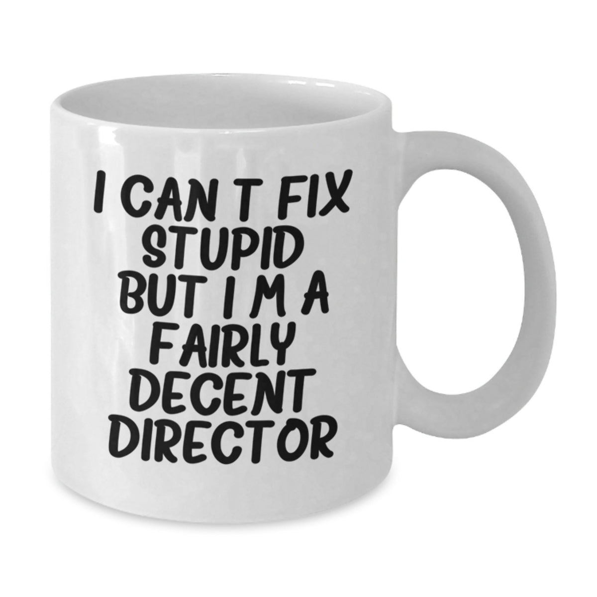 Director Gift for Him - I Can't Fix Stupid, Fairly Decent Director - Additional