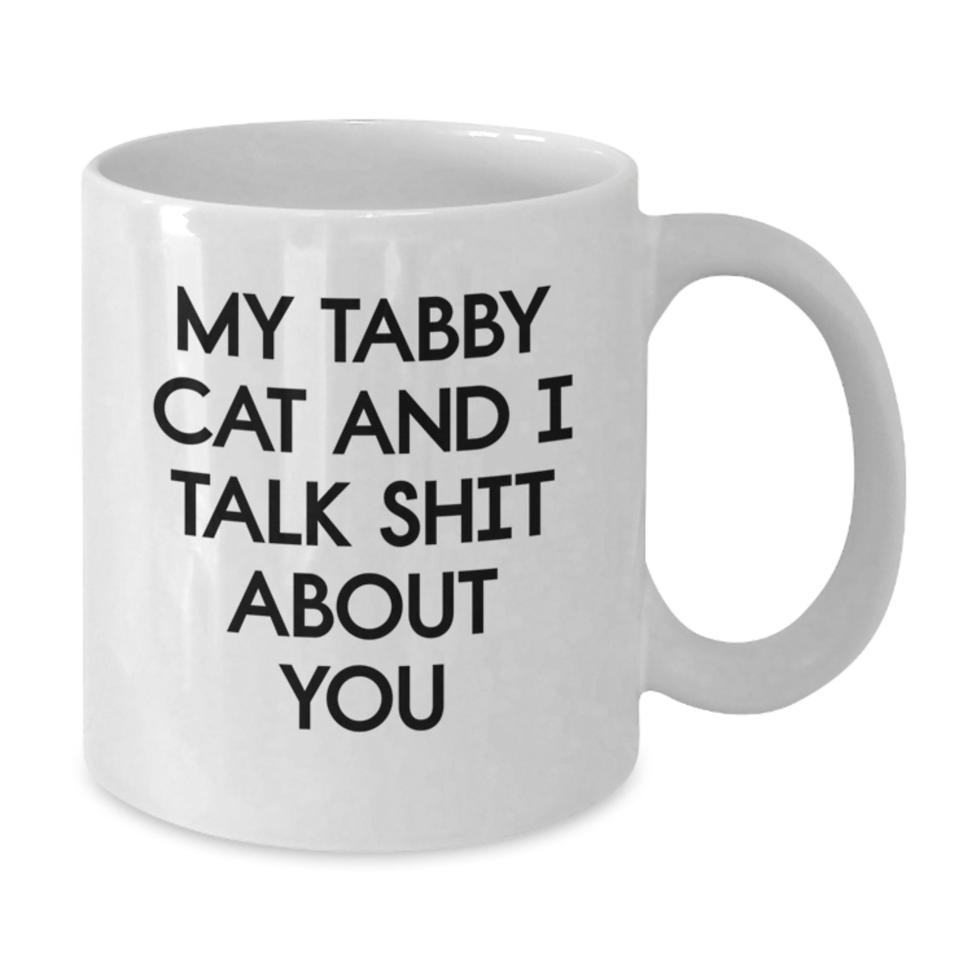 Funny Tabby Cat White Coffee Mugs Gifts from Men to Women on Mother's Day - My Tabby Cat And I Talk Shit About You Quote - Additional