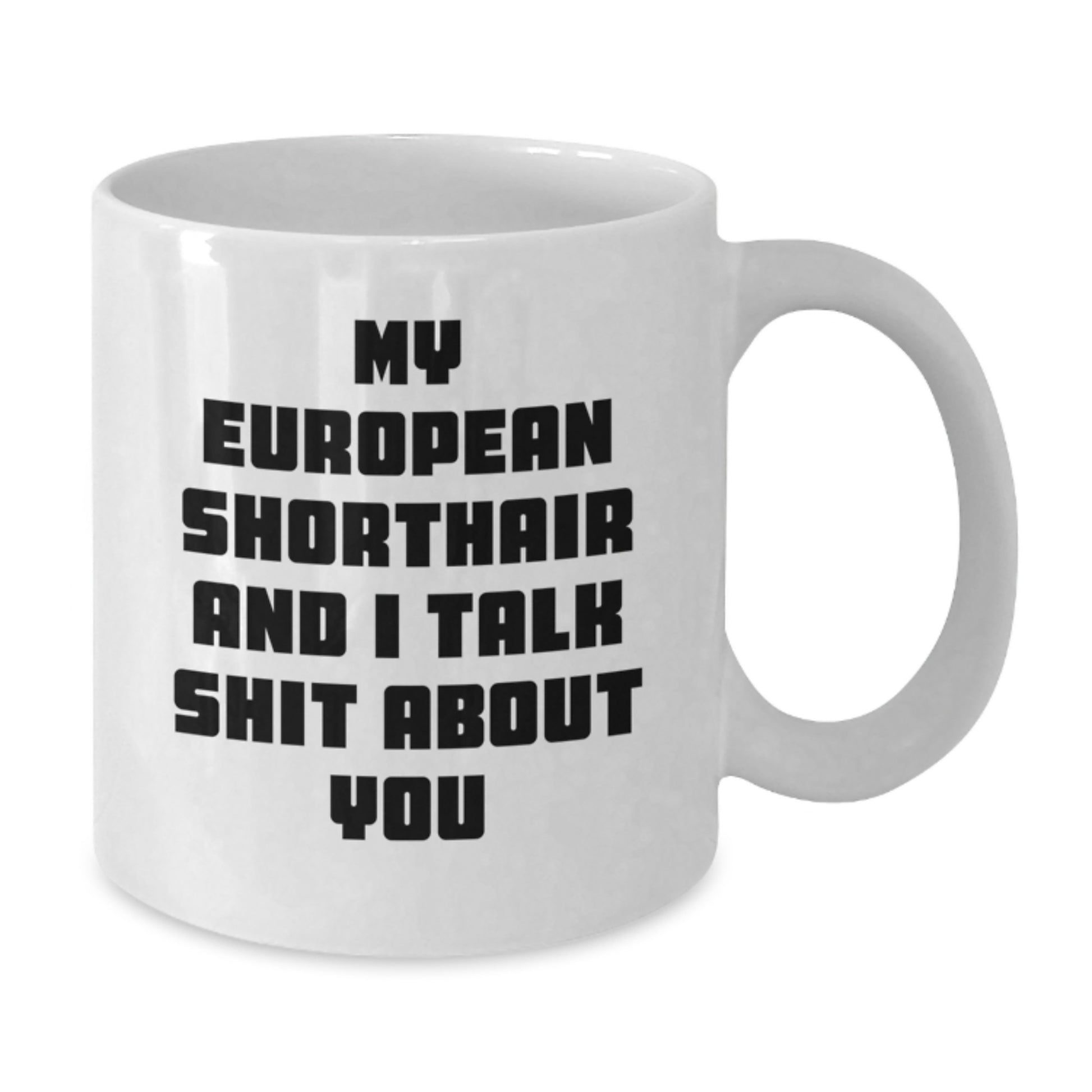 Funny European Shorthair Cat Gifts for Men, White Coffee Mug, 'My European Shorthair And I Talk Shit About You, Graduation Unique Gifts from Friends and Family' - Additional