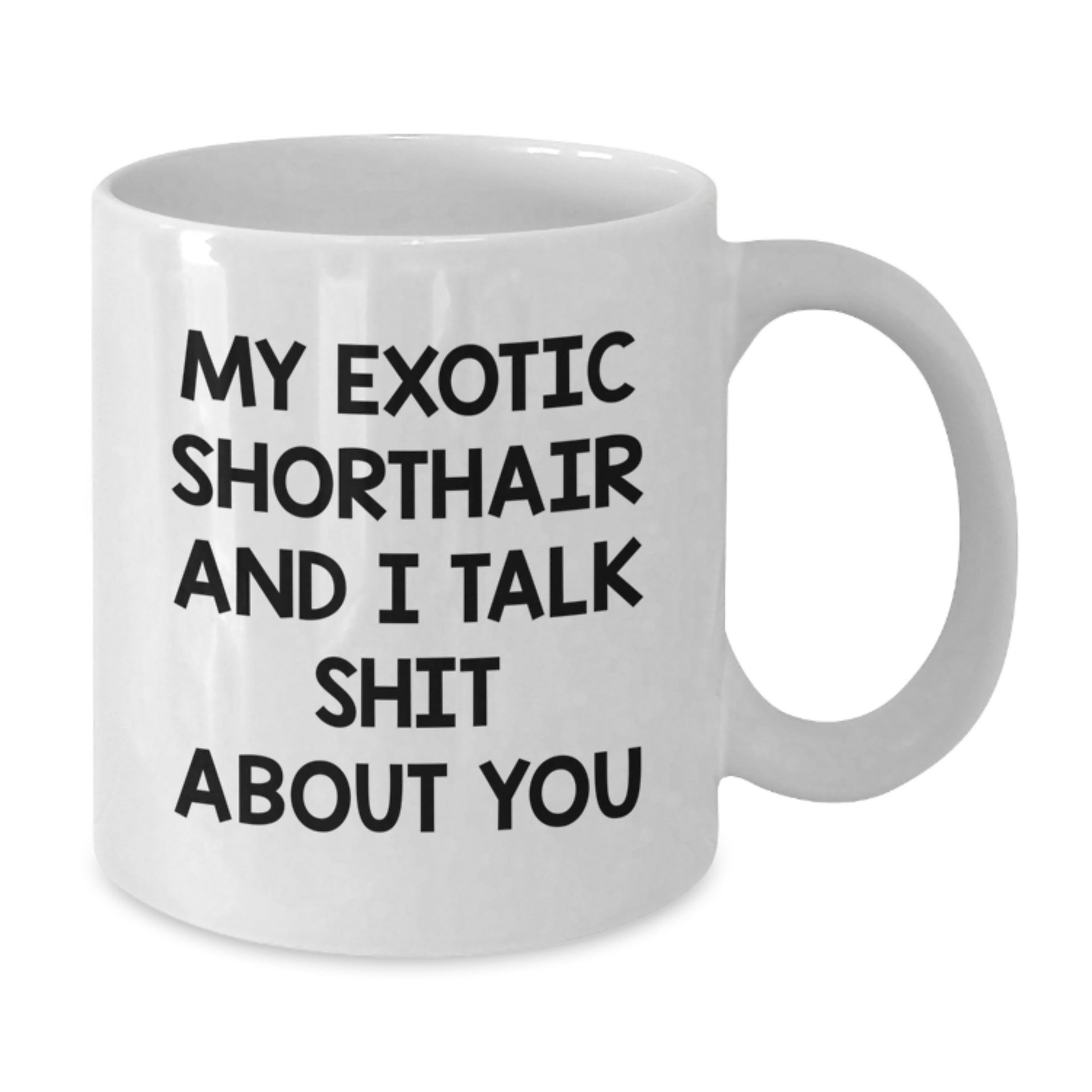 Funny Exotic Shorthair Cat Gifts for Men - 'My Exotic Shorthair And I Talk Shit About You' White Coffee Mug for Graduation Unique Gifts from Men to Family - Additional